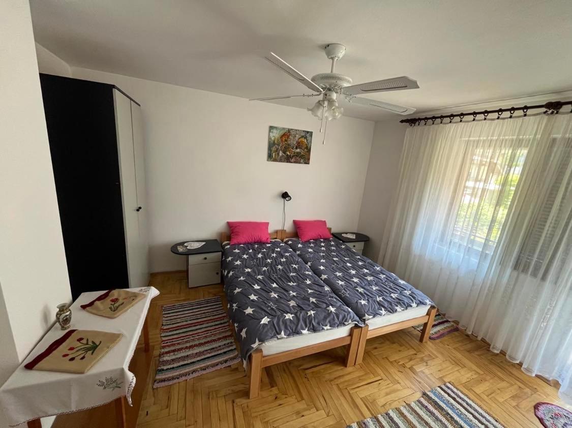 Apartman Velojic Donji Milanovac Exterior photo